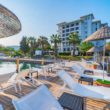 Sibyl Erythrai By Muup