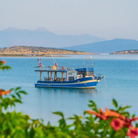 Sibyl Erythrai By Muup *