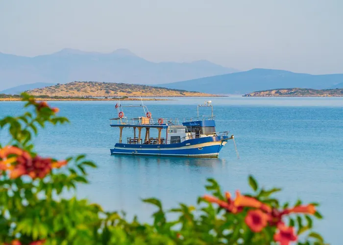 Sibyl Erythrai By Muup *